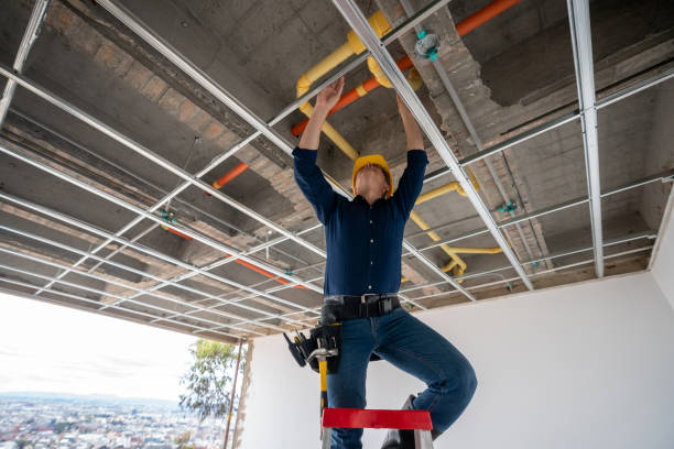 Best Emergency Plumber  in Labarque Creek, MO